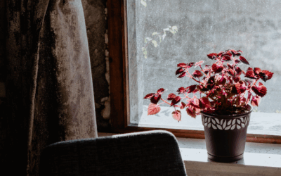 Feng shui udrensning
