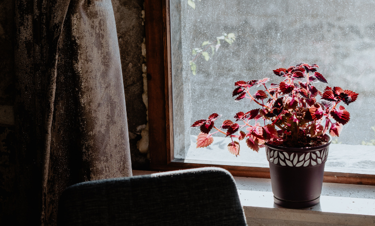 Feng shui udrensning