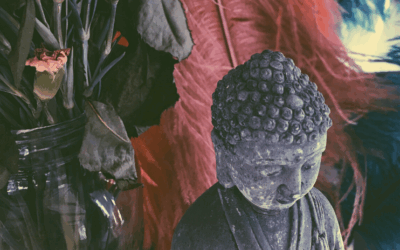 Find din Dharma